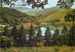 34 Herault Le Lac De La Raviège  Situé Aux Environs De La Salvetat   N° 18 \MM5031 - La Salvetat