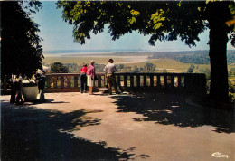 50   Avranches Jardin Des Plantes Et Vue Sur Le Mont St Michel     N° 42 \MM5041 - Avranches