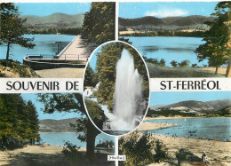  31  Saint Ferreol  Souvenir Multivue   N° 10 \MM5043 - Saint Ferreol