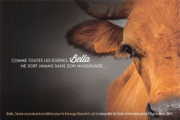 73 Beaufort Vache TARINE Race Bovine Tarentaise  (scan R/V) 68 \PC1204 - Beaufort