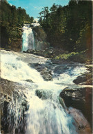 65  Cauterets Les Pyrenées Le Pont D'espagne  La Cascade   N° 9 \MM5047 - Cauterets