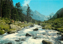 65  Cauterets Les Pyrenées Vallée De La Fruitière Et Pic De Labs   N° 11 \MM5047 - Cauterets