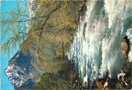 65 Cauterets  Les Pyrénées  Le Gave  Le Péguerre   N° 3 \MM5048 - Cauterets