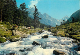 65 Cauterets  Les Pyrénées Vallée De La Fruitière Et Pic De Labas    N° 29 \MM5048 - Cauterets