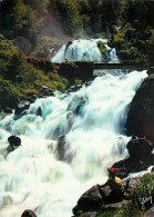 65 Cauterets  Les Pyrénées  Cascade De Lutour     N° 54\MM5048 - Cauterets