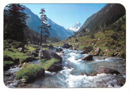 65 Cauterets   La Fruitière Le Gave Du Lutour   N° 1 \MM5049 - Cauterets