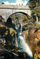 65 Cauterets   Le  Pont D'espagne      N° 5 \MM5049 - Cauterets