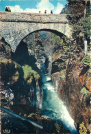 65 Cauterets   Pont D'espagne   N° 8 \MM5049 - Cauterets