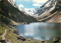 65 Cauterets   Le Lac De Gaube Et Le Vignemale       N° 14 \MM5049 - Cauterets