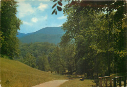 65 Bagneres De Bigorre Promenade Du Vallon Du Salut        N° 44 \MM5049 - Bagneres De Bigorre