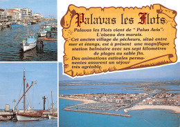 PALAVAS LES FLOTS   Multivue Palus Avis  (Scan R/V) N° 27 \MM5049BIS - Palavas Les Flots