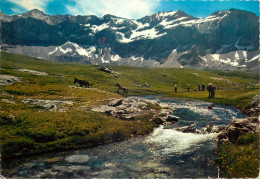 65  Gavarnie Vallée De Heas Cirque De Troumouse Près Du Cirque De Gavarnie      N° 11 \MM5050 - Gavarnie