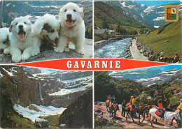 65  Gavarnie Multivue     N° 28 \MM5050 - Gavarnie