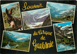 65  Gavarnie  Le Cirque Multivue   N° 52\MM5050 - Gavarnie