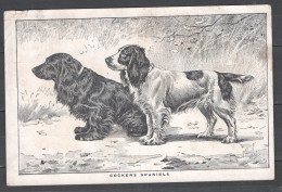 Chiens - Cockers Spaniels - Illustrateur - Publicité "Manufacture Française D'armes Et Cycles De Saint-Etienne" - Cani