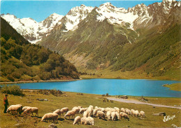 65 Argeles Gazost  Sur La Route D'argelès Au Col D'aubisque Le Lac D'estaing       N° 15 \MM5053 - Argeles Gazost