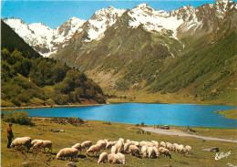 65  Sur La Route D'argeles Au Col D'aubisque Le Lac D'estaing         N° 57\MM5057 - Argeles Gazost