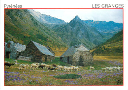 65 Les Granges Du Moudang Pyrénées  Moutons     N° 8 \MM5059 - Aragnouet