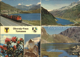 11694584 Oberalp Oberalp Passhoehe Alpenrosen Bergkristall Tomasee Oberalp - Andere & Zonder Classificatie