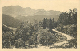 65 Bagnéres De Bigorre La Route Du Col D'aspin Dans La Forêt     N° 1 \MM5074 - Bagneres De Bigorre