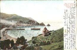 11694448 Avalon_California Bay Departure Of Cabrillo Steamer - Altri & Non Classificati