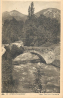 65  Argelès Gazost Vieux Pont Sur L'arrieulat     N° 65\MM5076 - Argeles Gazost