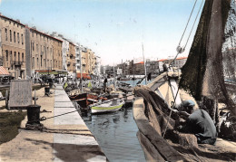 34 SETE  Bateaux De Pêche à Quai  (Scan R/V) N° 35 \MM5085 - Sete (Cette)