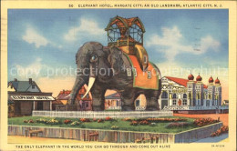 11694321 Atlantic_City_New_Jersey Elephant Hotel Margate City - Andere & Zonder Classificatie