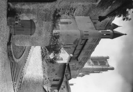 ALBI  La Basilique Sainte Cecile Vue Du Palais De La Berbie 36 (scan Recto Verso)MH2910TER - Albi