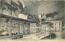 43 Le Puy En Velay  Musée Crozatier Salle De Zoologie       N° 44\MN6000 - Le Puy En Velay