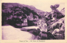 48  Gorges Du Tarn Rocher Du Champignon    N° 3 \MN6003 - Gorges Du Tarn
