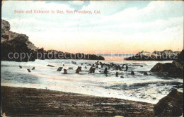 11694241 San_Francisco_California Seals And Entrance To Bay - Otros & Sin Clasificación
