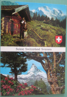 (Grindelwald (BE) Zermatt (VS)) - Mehrbildkarte "Suisse Switzerland Svizzera" / Alphorn, Matterhorn - Zermatt