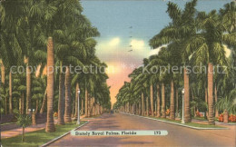 11693879 Florida_US-State Stately Royal Palms - Sonstige & Ohne Zuordnung