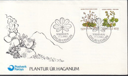 FÄRÖER  48-52, 2 FDC, Feldblumen, 1980 - Färöer Inseln