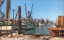 11693256 Key_West Shrimp Boats Harbour - Andere & Zonder Classificatie