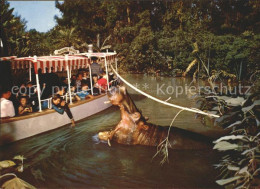 11692617 Disneyland_Orlando The Explorer Boat Hippo Rivers Of The World Nilpferd - Andere & Zonder Classificatie