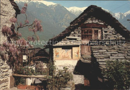 11692243 Aurigeno Vallemaggia Motivo Rustico Aurigeno - Andere & Zonder Classificatie