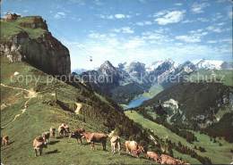 11691841 Hoher Kasten Luftseilbahn Stauberen Kreuzberge Saentis Saemtisersee Alp - Andere & Zonder Classificatie