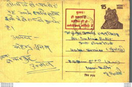 India Postal Stationery Tiger 15 New Delhi Cds - Postcards