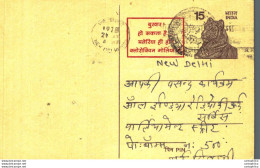 India Postal Stationery Tiger 15 New Delhi Cds - Postkaarten