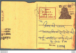 India Postal Stationery Tiger 15 New Delhi Cds - Postcards