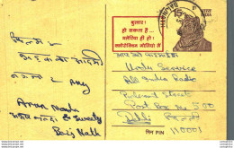 India Postal Stationery Tiger 15 To Delhi - Postcards