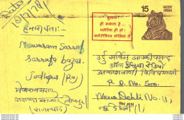 India Postal Stationery Tiger 15 To New Delhi - Postcards