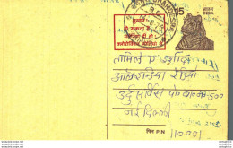 India Postal Stationery Tiger 15 - Postcards