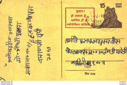 India Postal Stationery Tiger 15 - Postcards