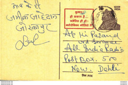 India Postal Stationery Tiger 15 To New Delhi - Postcards