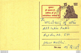 India Postal Stationery Tiger 15 To New Delhi - Postcards