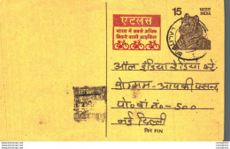 India Postal Stationery Tiger 15 Bike Cycle Lalitpur Cds - Postkaarten