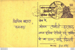 India Postal Stationery Tiger 15 New Delhi Cds - Postkaarten